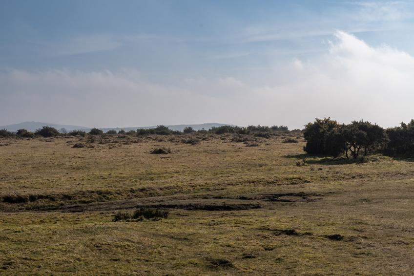 Trippet Cottage at Bodmin Moor - foto 6