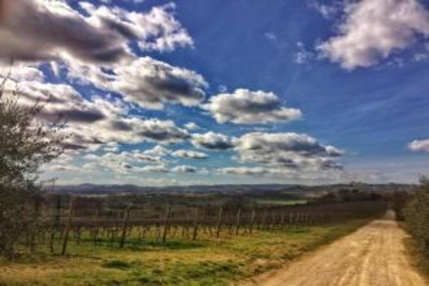 Villa Lena - foto 28