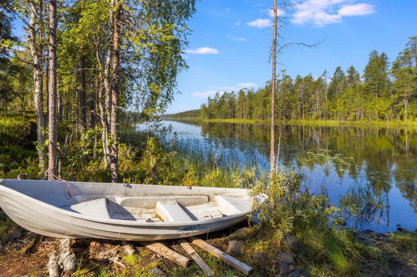 Kiehtäjän kuohu - foto 21