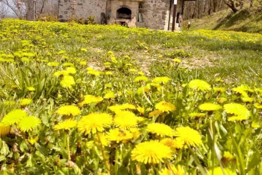 Piccola casa romantica - foto 10