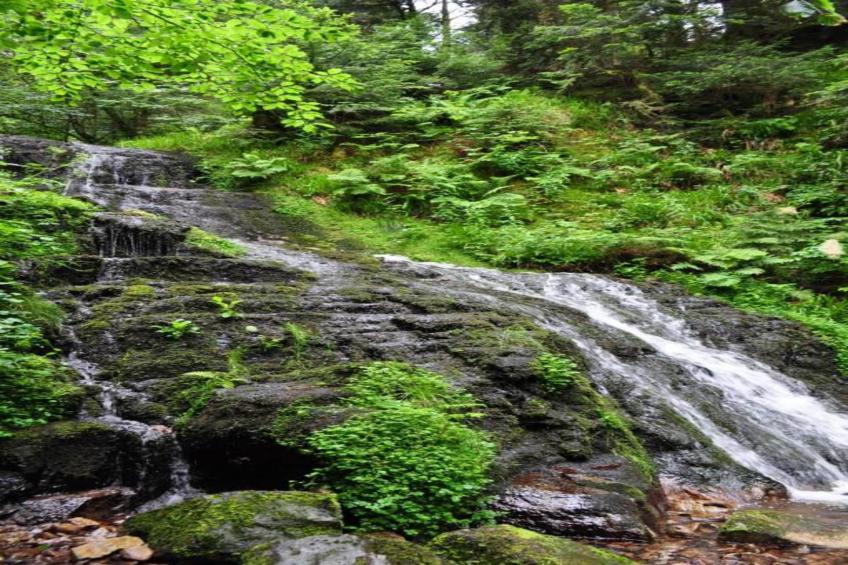 La Marmotte - foto 26