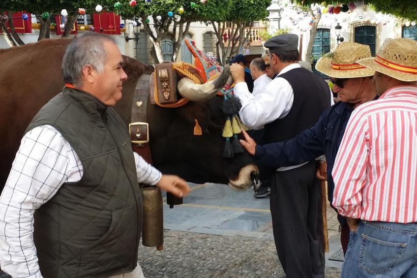 Schöne Villa für 6 Personen mit Schwimmbad - foto 36