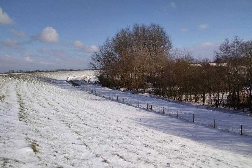 Haus Am Emsdeich - foto 28