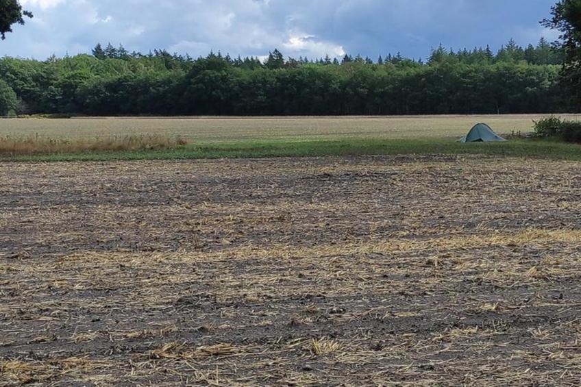 Dwergarend 17-21 - foto 28