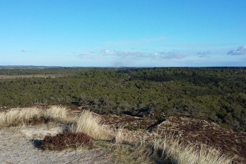 MOTEL UDSIGTEN - foto 15