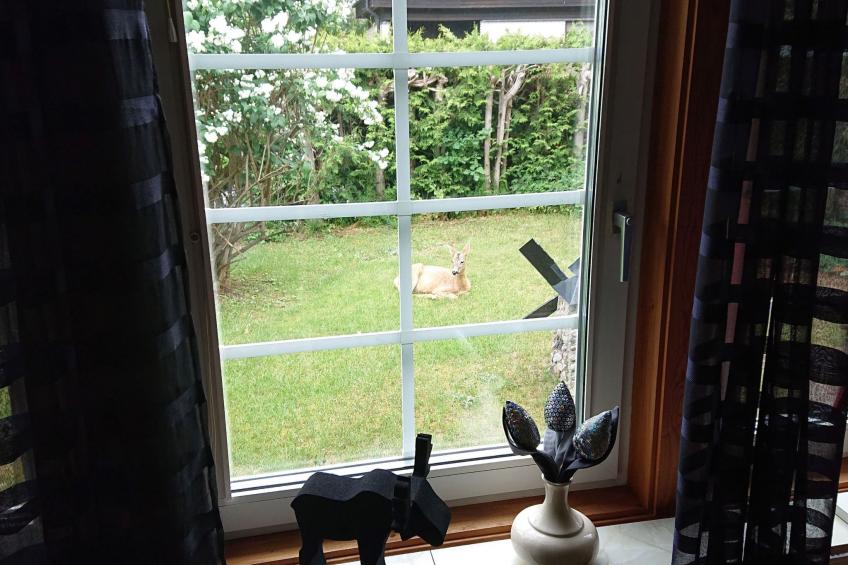 Familienfreundliches Ferienhaus mit großem Garten - foto 27