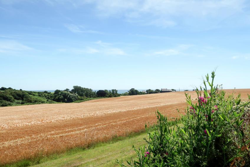 Reihenhaus (PZV106) - foto 21