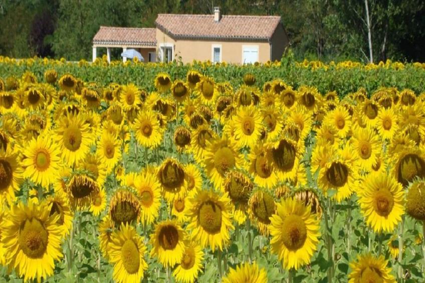 SCI Blue Hills Residence - foto 21