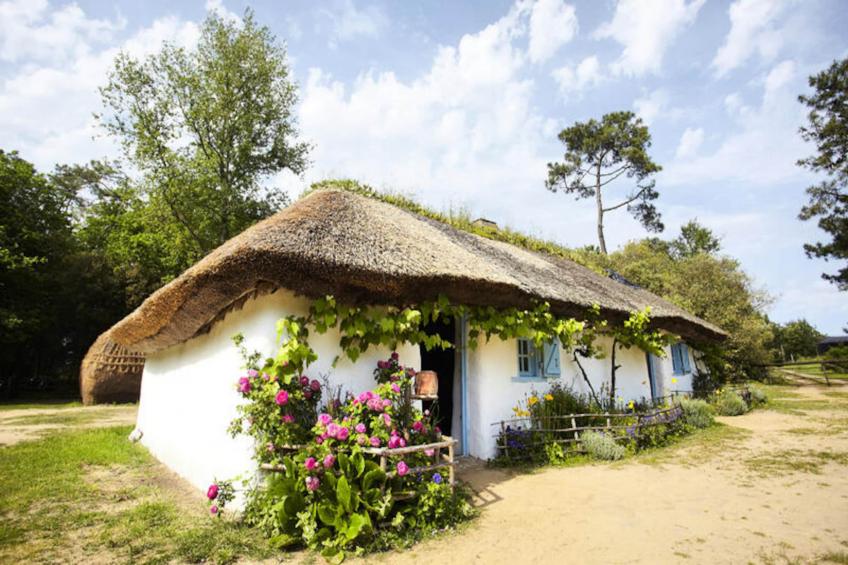 Appartements à Saint-Hilaire-de-Riez - foto 39