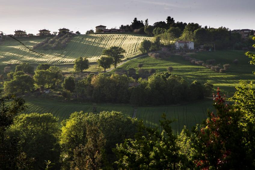"Haustierfreundliches 'Cottage Glicini' mit Pool und Aussicht - foto 47