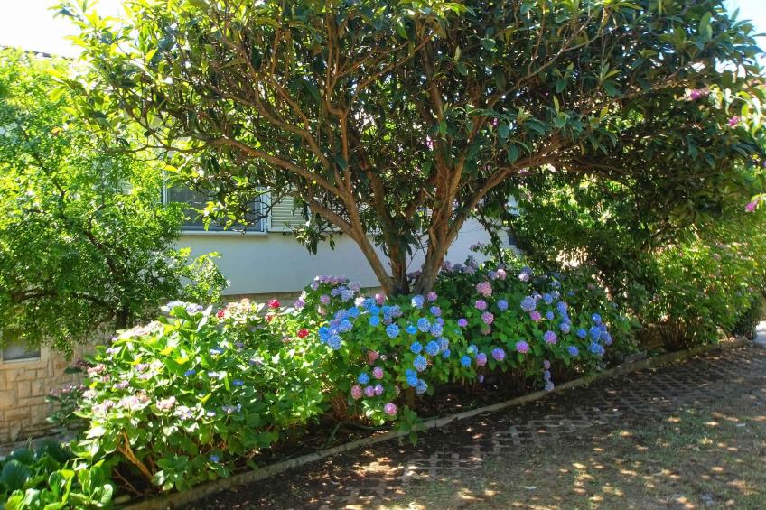 Holiday apartment with air conditioning - BF-KFT4J
