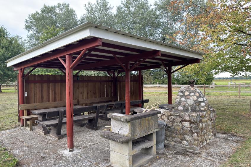 Lüneburger Heide - foto 38