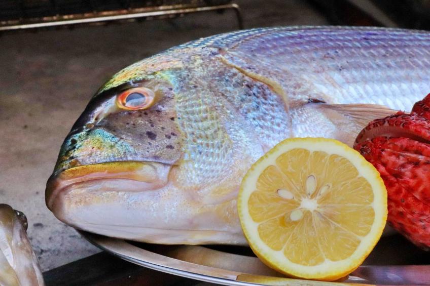 Seafront Apartments Anthony - Two Bedroom Apartment with Terrace and Sea View (A3) - foto 18