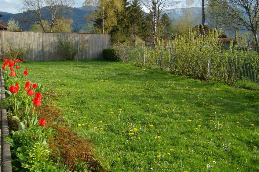 Betttis Bungalow - foto 17