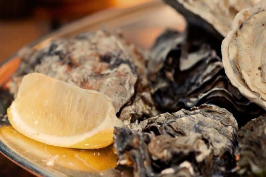 Résidence Tranquillité Bleue 1 Appartement Vue Mer En Duplex 1 Chambre 1 Mezzanine - foto 25