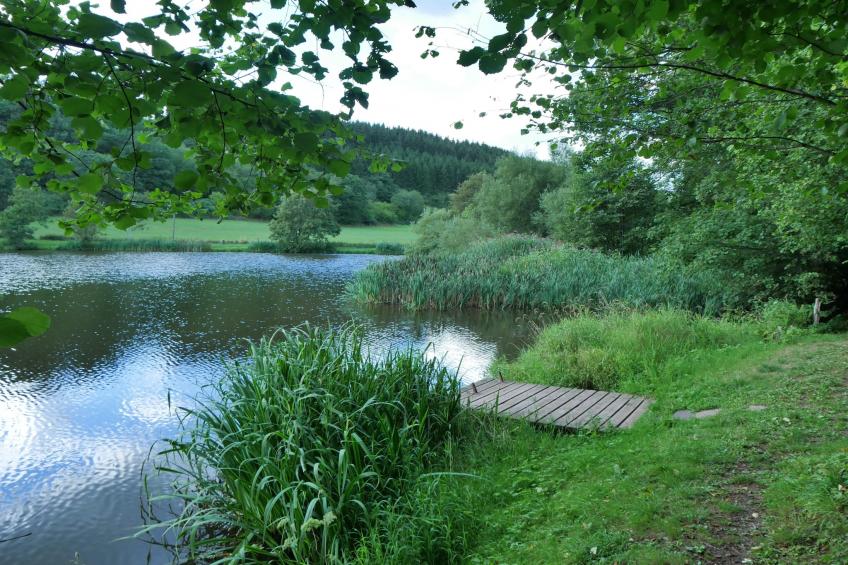 Eifelleben in Hillesheim - foto 23