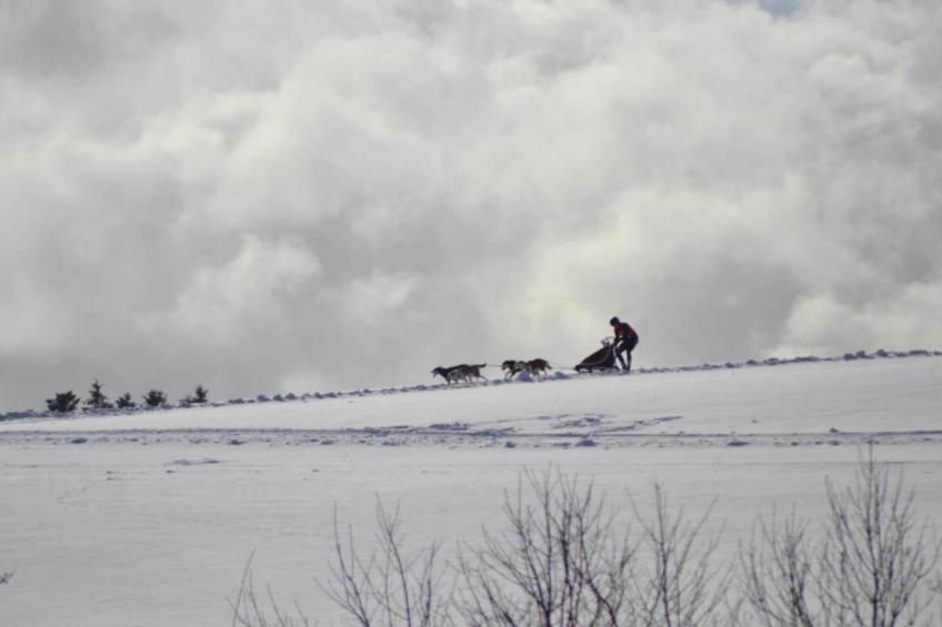 Spiegeltal - foto 17