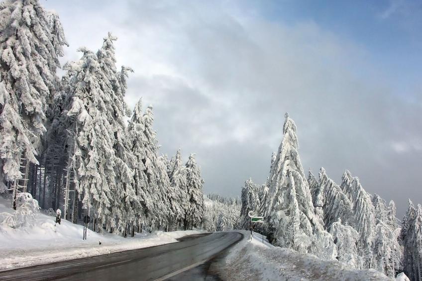 Landhaus Graf - foto 33