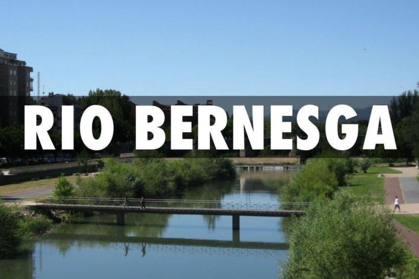 Entrevias Unterkunft und weitere Wohnungen in León - foto 49