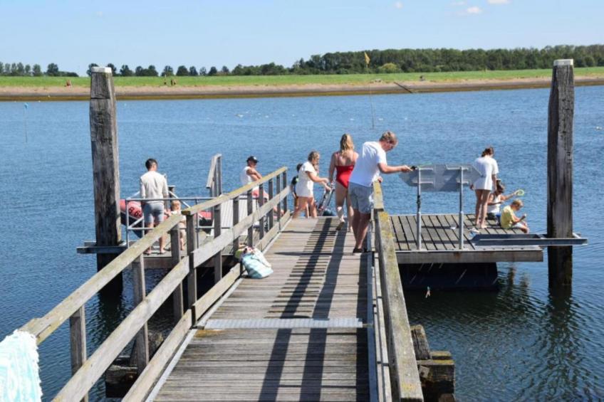 Schollevaer Huis Nr 34 - foto 40