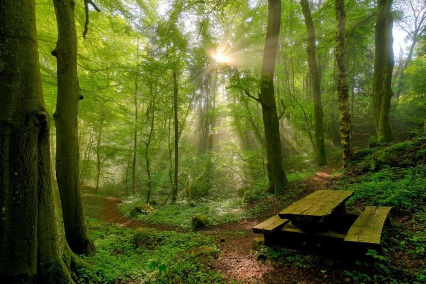 Resort Echternacherbrück 1 - foto 40