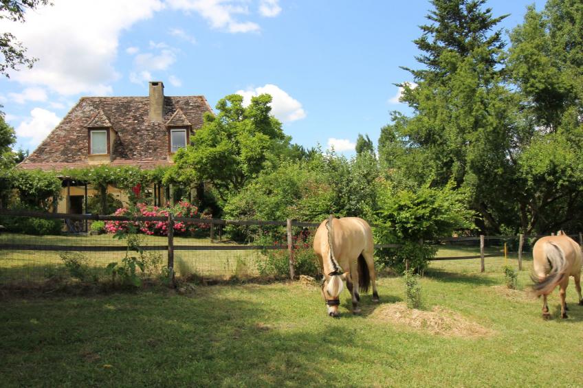 Haus mit Charme Komfort Ruhe Privatpool - foto 17