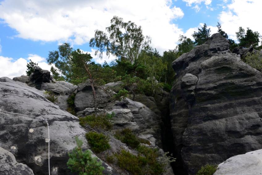 Panoramablick in Königstein - foto 28