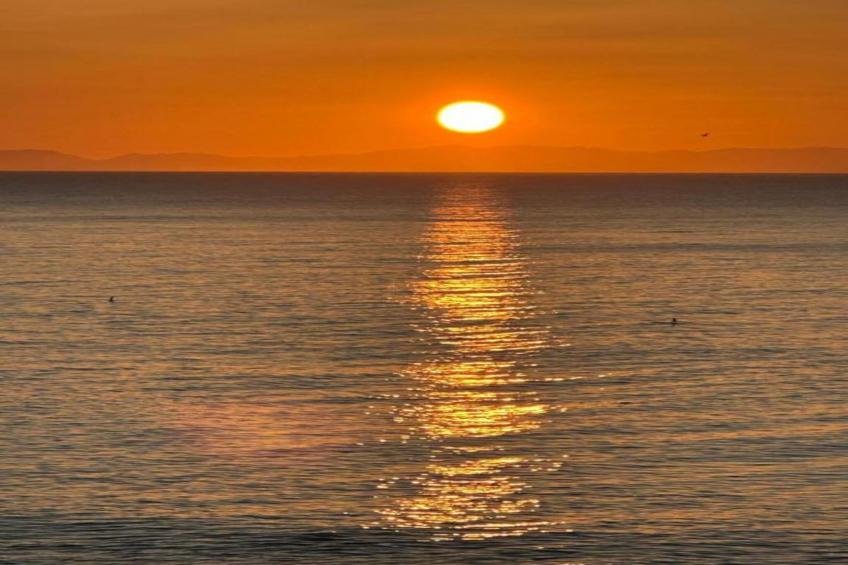 Los Flamencos - foto 33