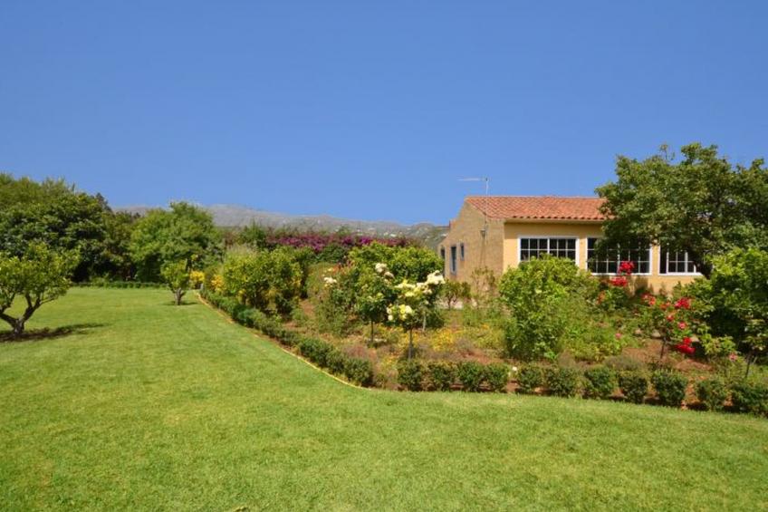 MADROÑAL. M08GC - foto 2