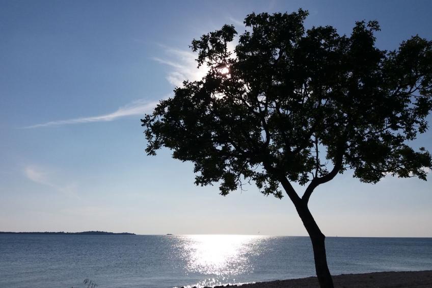 Villa Natalia Peroj,  mit privaten Pool - foto 38