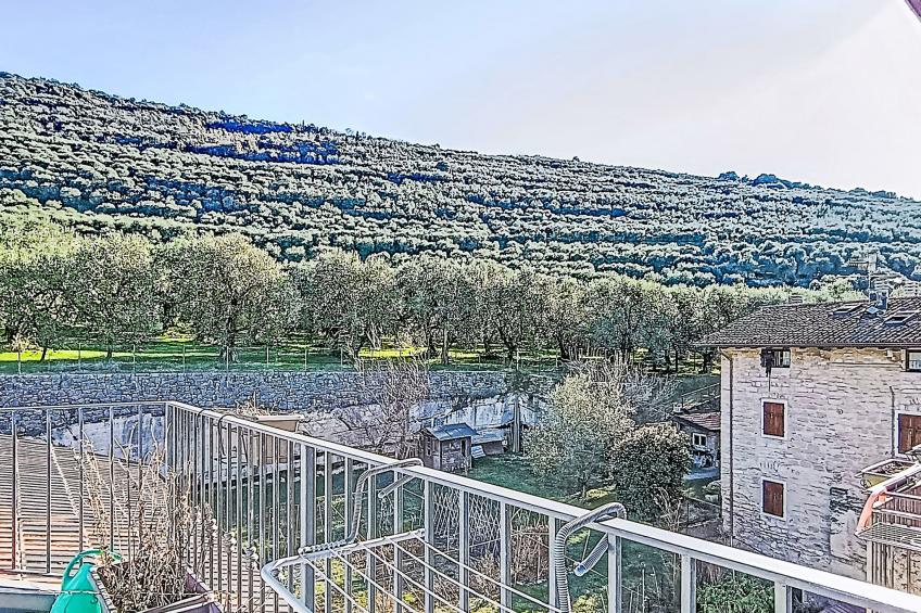 Tra gli Ulivi - foto 16