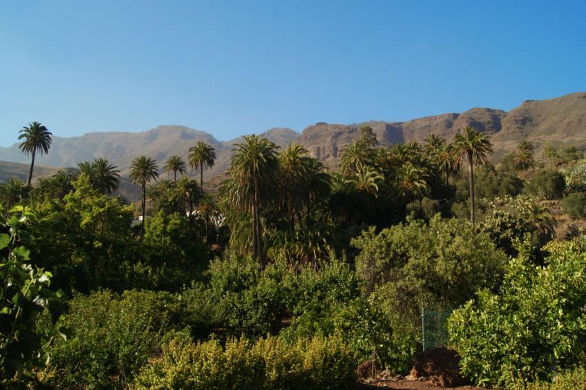 Komfortables Ferienhaus La Fuente de la Flora - foto 25