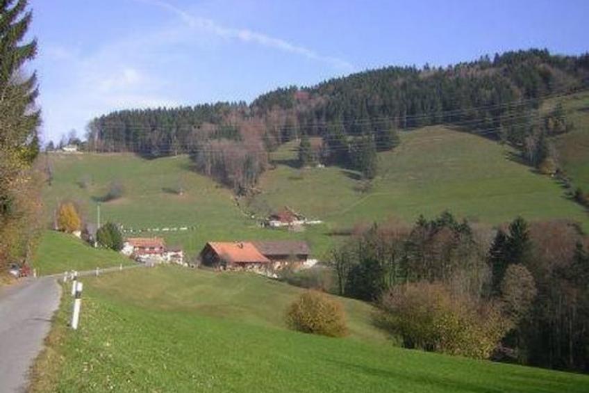 Ferienwohnung, Ferienhof Wald - foto 25