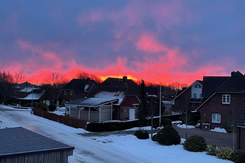 Ruhige Wohnung in Risum mit Garten und Terrasse - foto 27