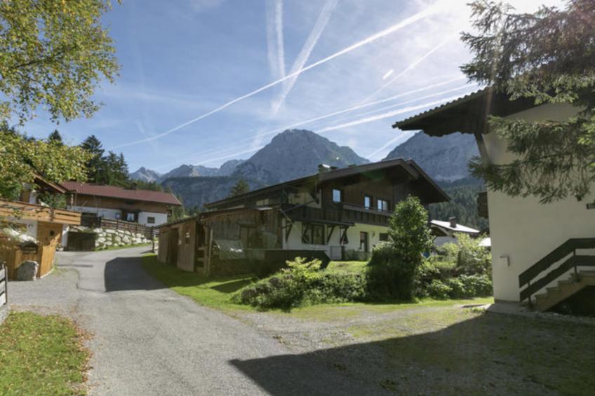 Kirschbaum 1 - foto 12
