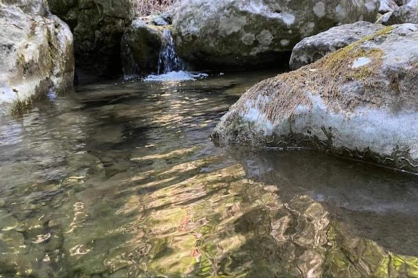 La Casa dei Nonni - foto 35