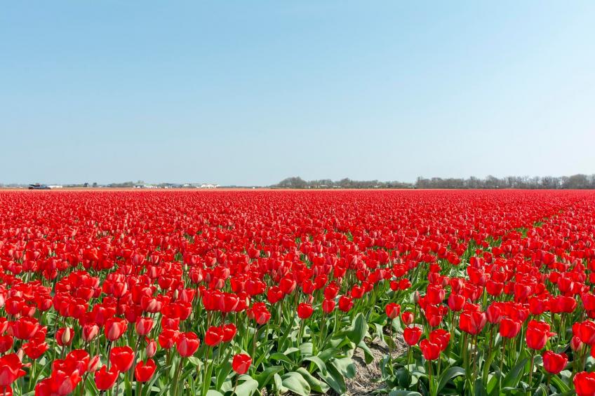 Wijde Blick 307 - foto 14