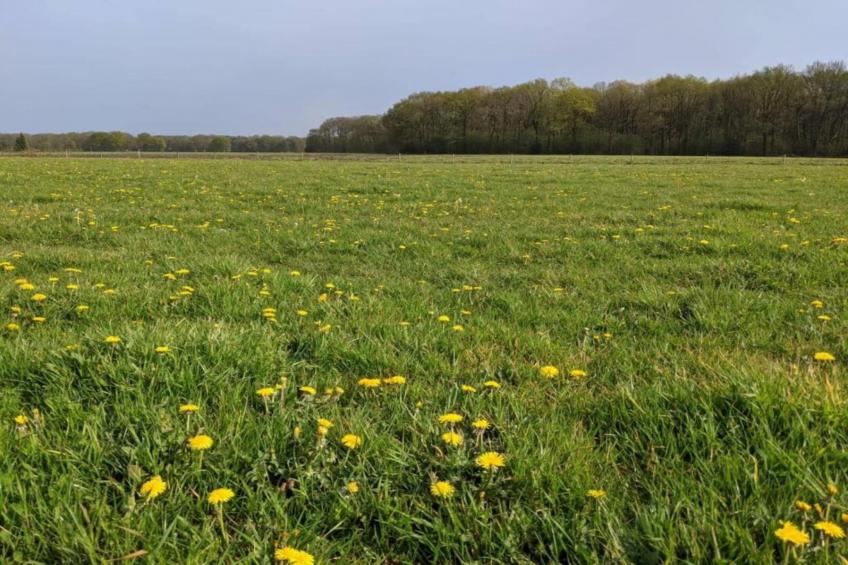 Parc de Kievit 11 - foto 37