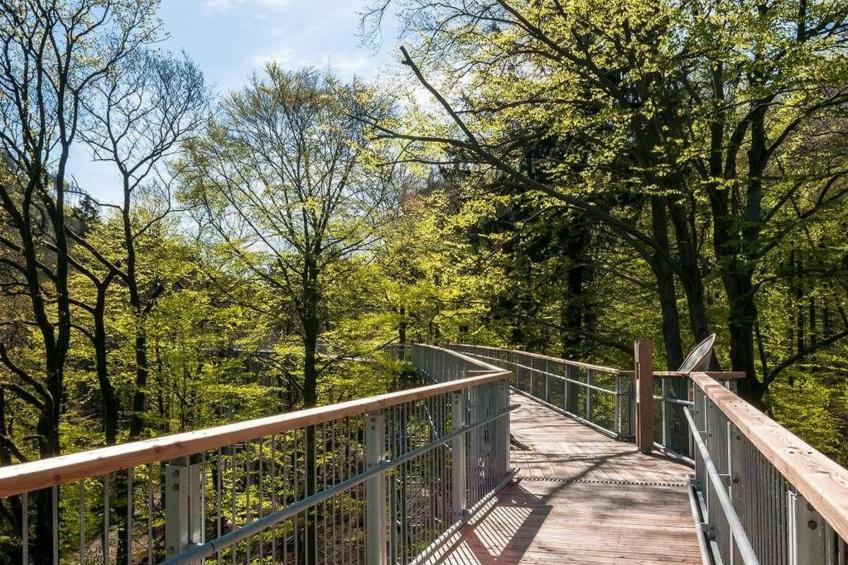 Fewo Stricker 33 - foto 49