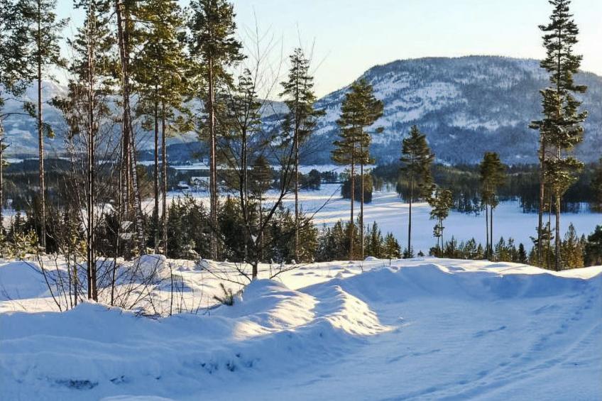 Vrådal - foto 77