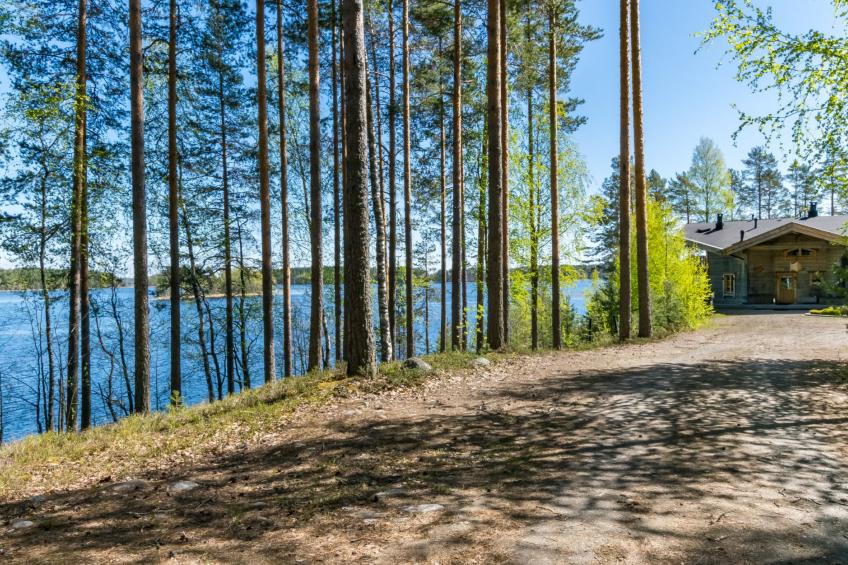 Villa pyöriäinen - foto 70