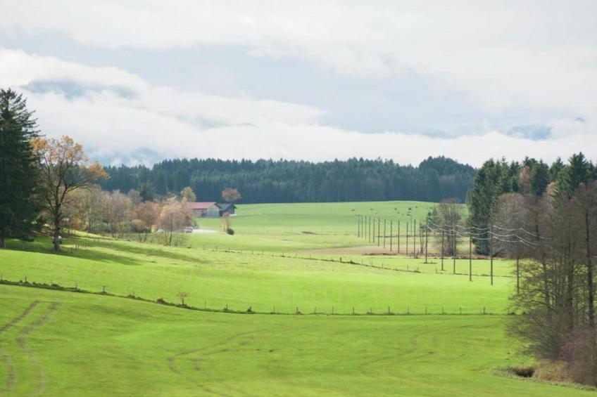 Alpenblick - foto 25