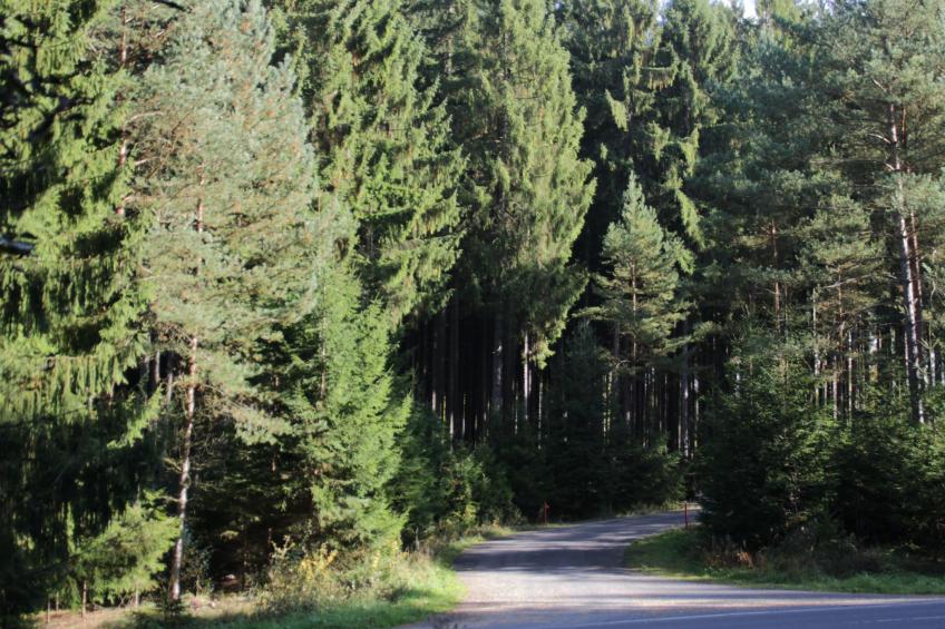 Cat'n'Boots Haus - foto 37