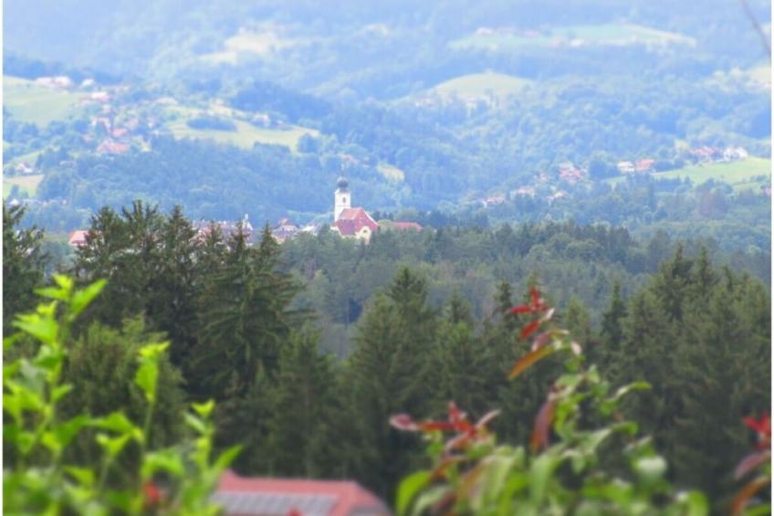 14923 - foto 38