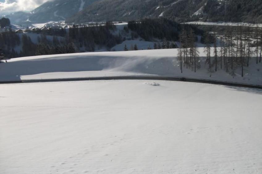 in ruhiger Lage am Waldrand - foto 13