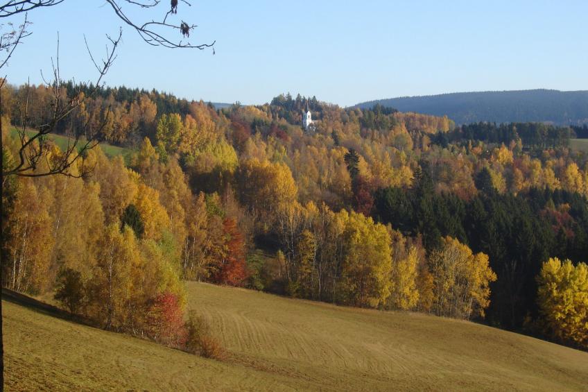 Charmantes, traditionelles Holzhaus - foto 30