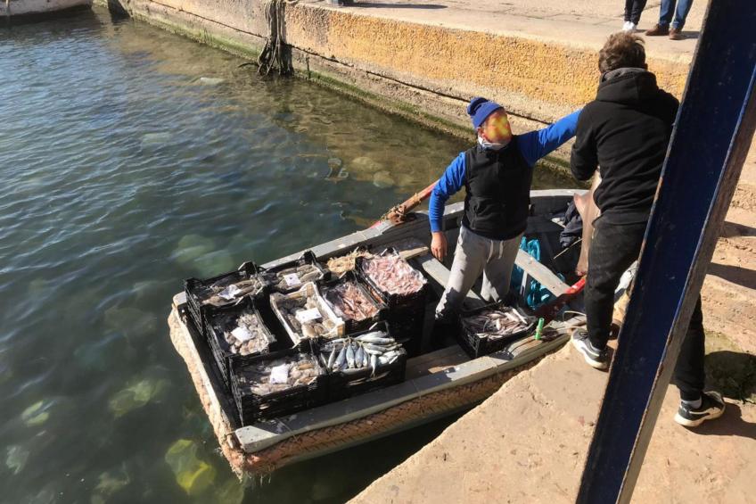 Wohnung "Kastalia" mit Infinity-Pool - foto 41