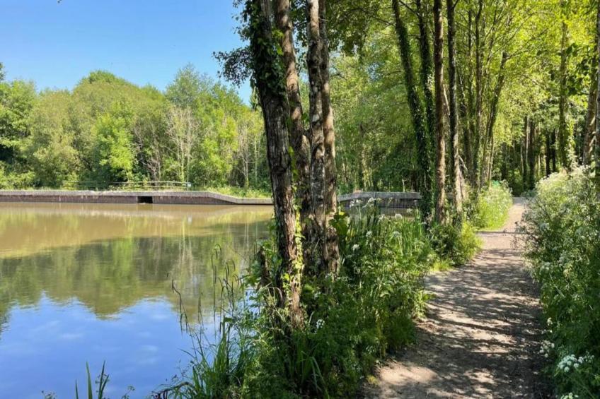 Little Dunley - Holly - foto 12