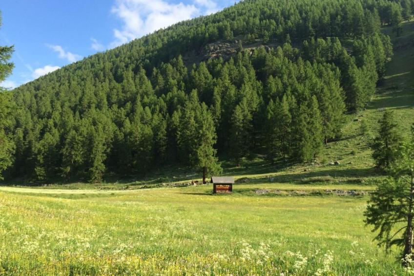 Gemütliches Chalet im Tal von Susauna - foto 3