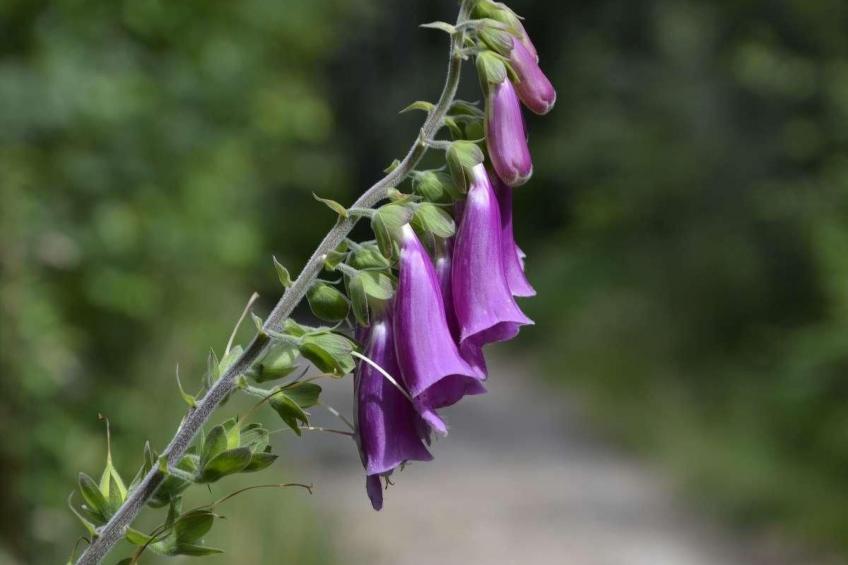 Haus am Stein Haus 2 - foto 38